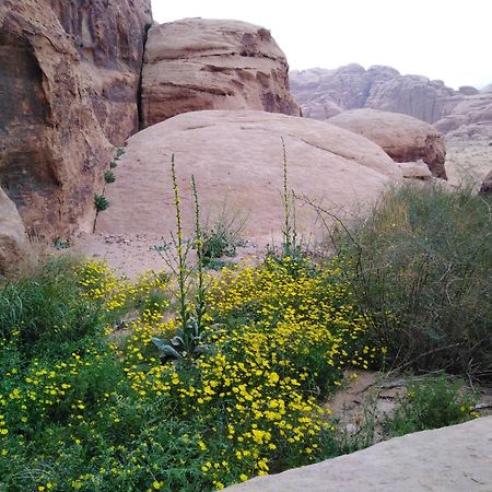 Hotel Welcome To Wadi Rum Camp Exterior foto